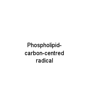 Phospholipid-carbon-centred radical